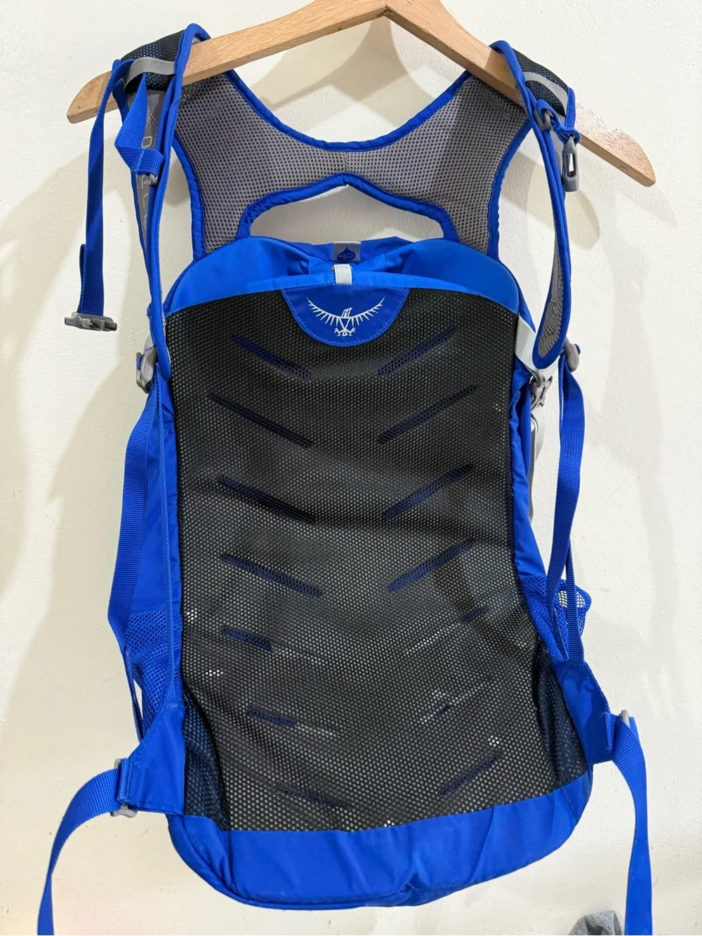 OSPREY Blue Daypack with White Trim